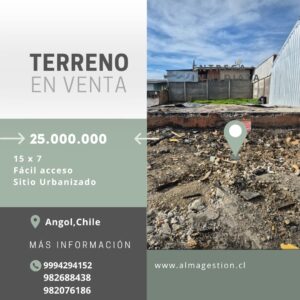 Sitio en ANGOL.