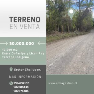 Parcela entre LICAN RAY y COÑARIPE