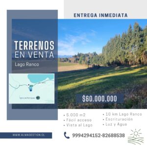 Parcelación Lago Ranco, con vista al lago.